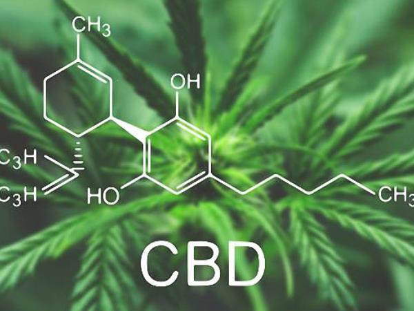 CBD olje iz slovenske konoplje